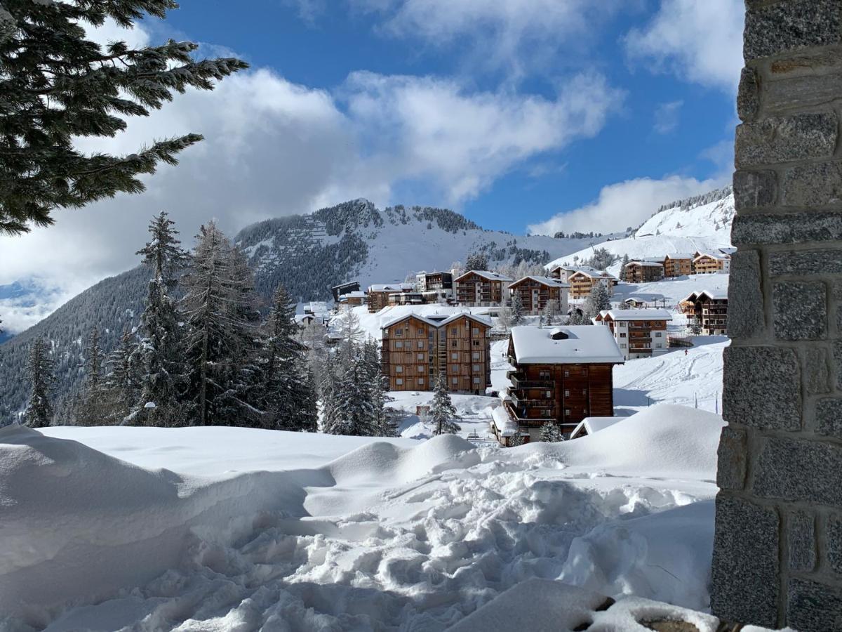 Schoenegg Hochparterre Riederalp Εξωτερικό φωτογραφία