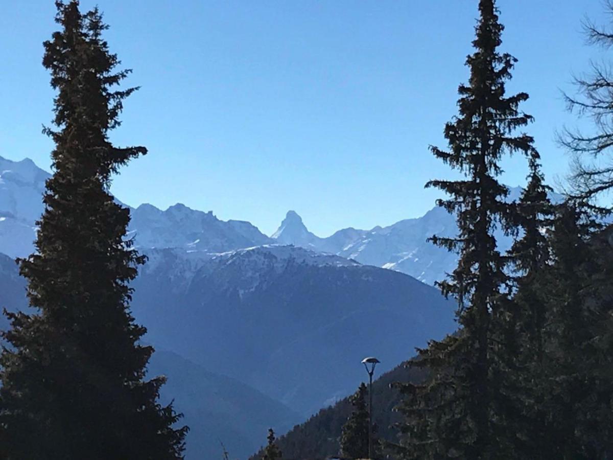 Schoenegg Hochparterre Riederalp Εξωτερικό φωτογραφία