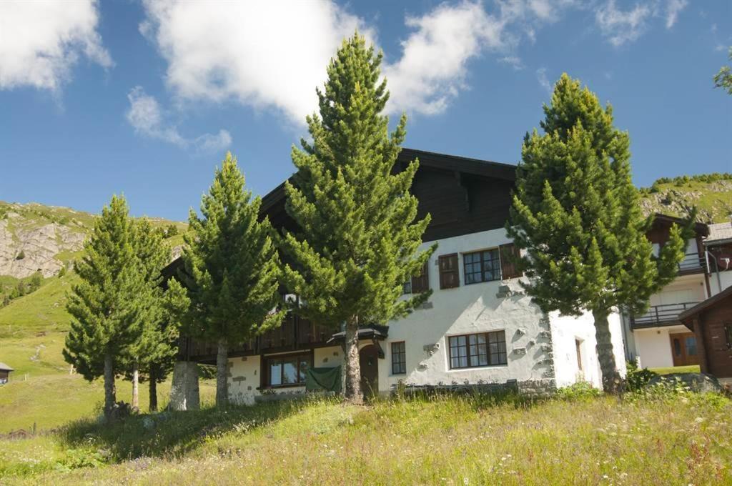 Schoenegg Hochparterre Riederalp Εξωτερικό φωτογραφία